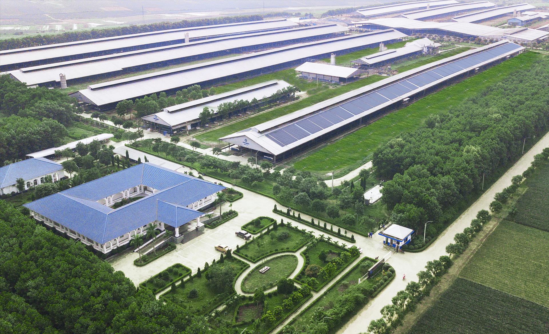 vinamilk-7414-10-41-24